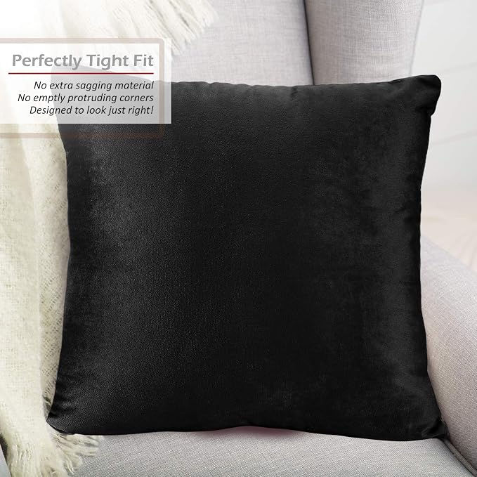Nestl Throw Pillow Inserts Pack of 2 with Velvet Soft Solid Decorative Square Throw Pillow Covers Set for Sofa Couch Car Bedroom, 18X18 Throw Pillows Inserts with 16x16 Washable Cushion Covers, Black