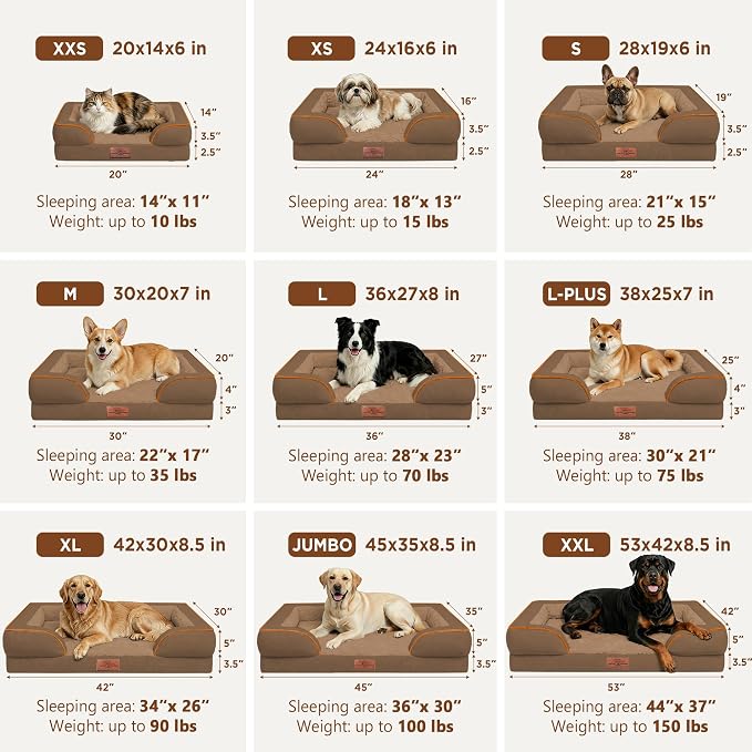 Comfort Expression Waterproof Orthopedic Dog Beds for Large Sized Dog | Supportive Egg Crate Foam Large Pet Bed with Removable Bolsters, Dog Couch with Washable Cover & Non-Slip Bottom, 38x25 Inch