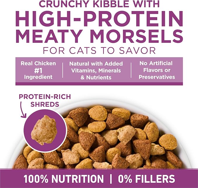 Purina ONE Plus Whole Body Support Chicken Dry Cat Food 7 lb Bag | High protein cat food with live probiotics, taurine, vitamin E, choline and omega-6 fatty acids for whole body support