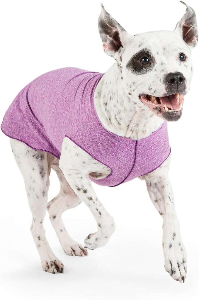 Sun Shield Dog Tee – T-Shirt for Canines – UV Protection, Pet Anxiety Relief, Wound Care – Protects Against Foxtails, Aids Alopecia - Machine Washable, All Season – Size 2 – Violet