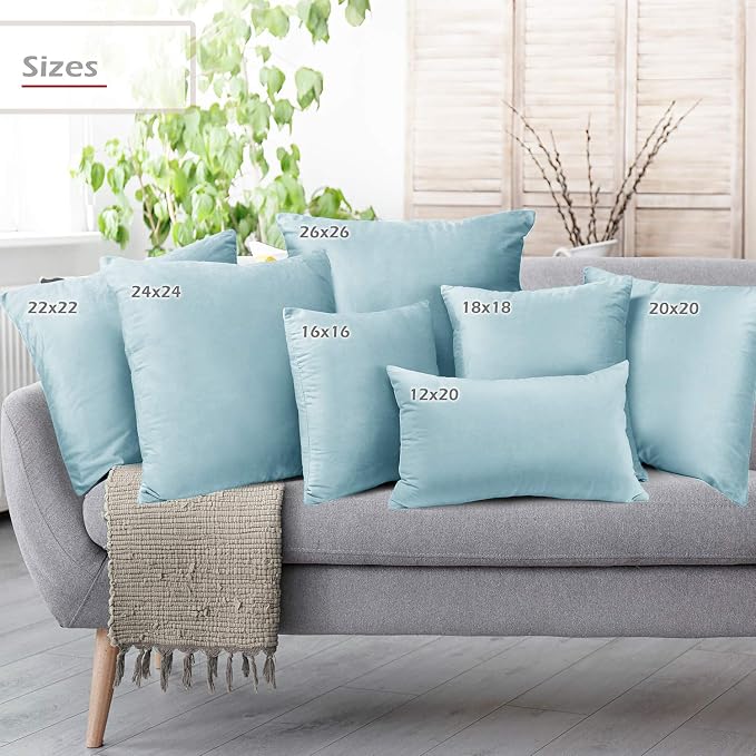 Throw Pillow Inserts Pack of 2 with Velvet Soft Solid Decorative Square Throw Pillow Covers Set for Sofa Couch Car Bedroom, 20X20 Throw Pillows Inserts with 18x18 Washable Cushion Covers, Aqua Blue