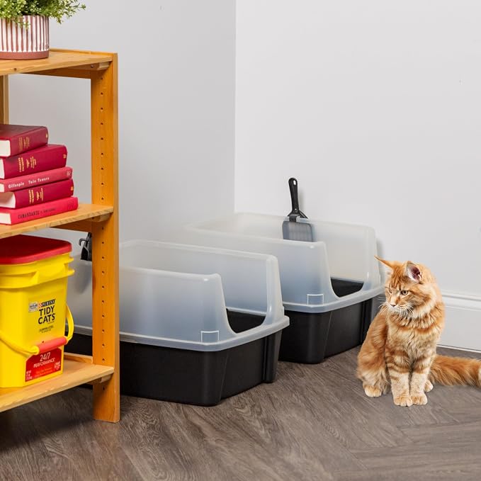 IRIS USA Large High Sided Cat Litter Box, Scatter Shield, Black | Active Cats, Tall Wall Protection, Kick-Proof Sides, Extra Deep Pan, Easy Daily Scoop, Keeps Floor Clean