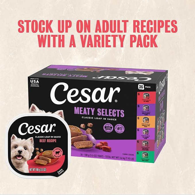 Cesar Classic Loaf in Sauce Wet Dog Food, Beef Recipe, 3.5 oz, 24 Count | Real beef #1 ingredient, Made in USA, Easy peel trays, no fillers/added sugar/artificial flavors, use as meal or topper