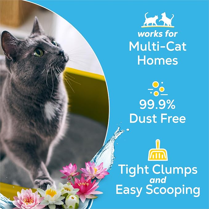 Purina Tidy Cats Clumping Cat Litter, Glade Clear Springs, 38 lb | Lightweight, low dust multi-cat litter with 10-day odor control and fresh floral fragrance