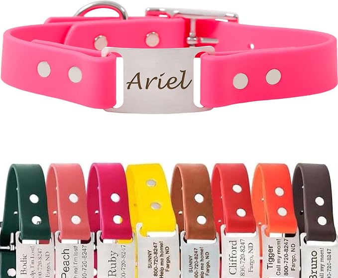 dogIDs ScruffTag Personalized Waterproof Dog Collar, Made in USA - Soft Grip Biothane, Adjustable, Odor Resistant, Custom Laser Engraved Name Plate - Pink, 1 in x 18 in (Fits Neck Sizes 16-20 in)