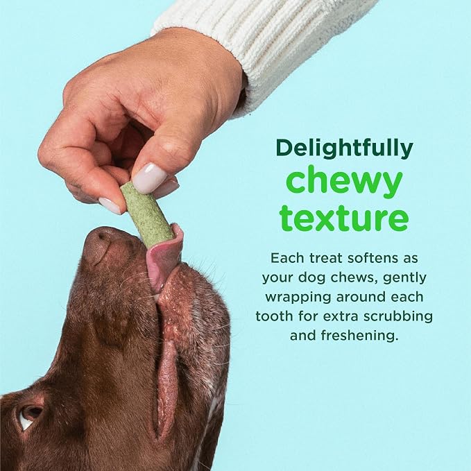 Minties FreshBites Soft and Chewy Dental Treats, Low Calorie Natural Mint Flavored Dental Chews for Dogs, 100 Count, Dog Chews Clean Teeth, Fight Bad Breath, Removes Plaque and Tartar | 7.5-cal soft chew; 5 natural breath fresheners; no wheat, corn, so...