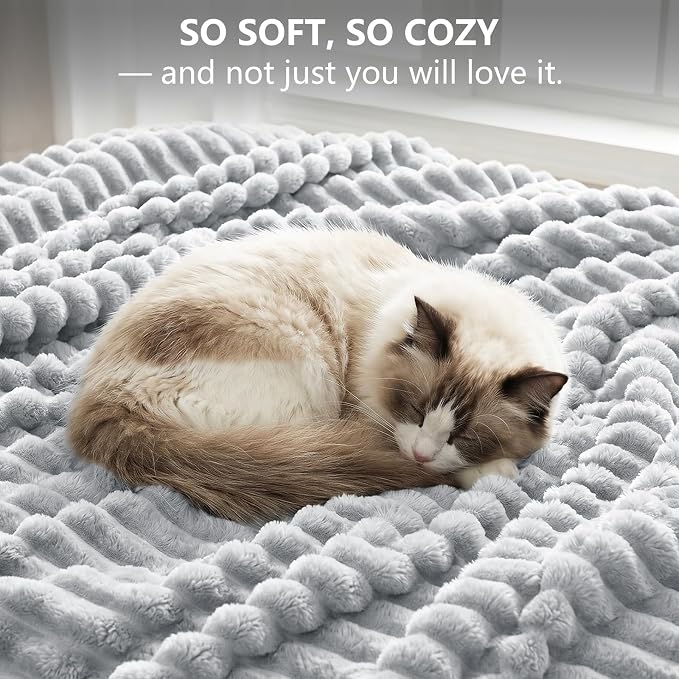 Light Gray Throw Blanket for Couch & Bed, 50 x 60 Inch | 300GSM Ribbed Fleece Blanket, Soft, Cozy & Lightweight, OEKO-TEX Certified, All-Season Use for Travel, Dorm & Home Decor