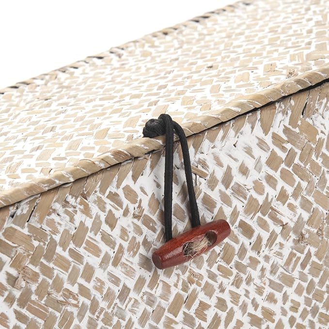 Seagrass Storage Basket with Lid Rectangular Small Woven Shelf Baskets with Sections for Organize Snack Toys Whitewash