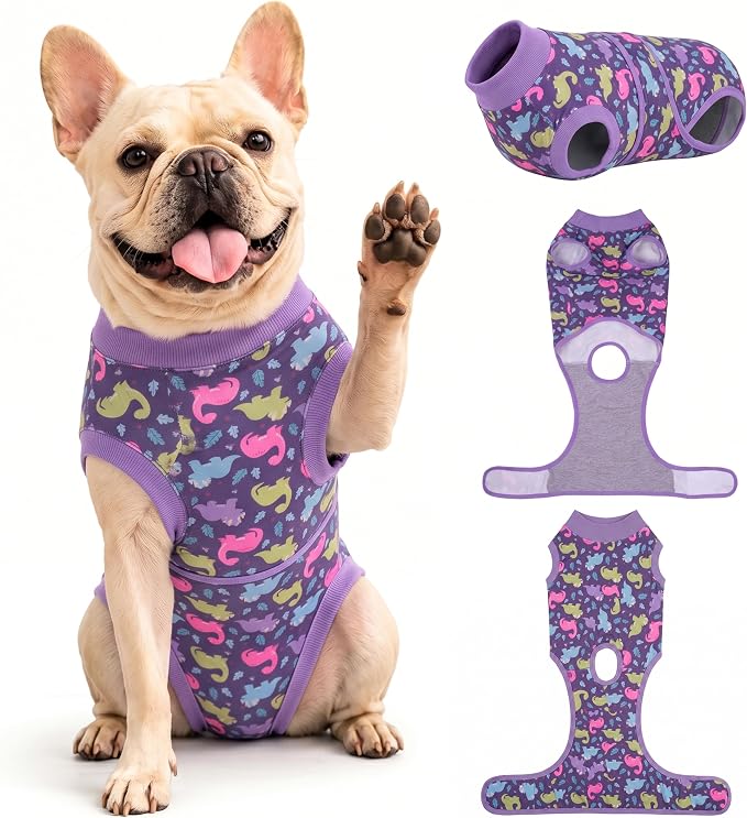 PetWarm Dog Post Surgery Suit Spay, Pet Recovery Suit for Dogs, Onesies for Dogs, Substitute E-Collar and Cone, Anti-Licking Dog Onesie for Surgery Female, Dinosaur Pattern, Purple, XS