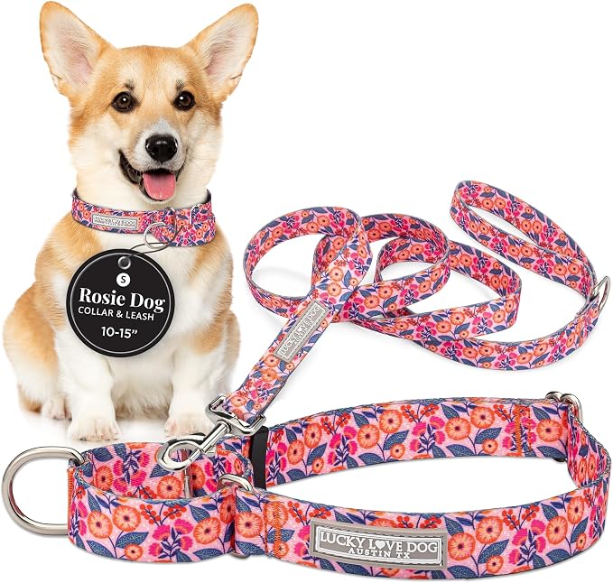 Lucky Love Dog Martingale Collar & Leash Set No Slip Cute – Rosie, Small