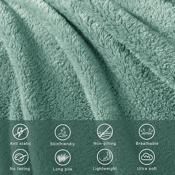 Exclusivo Mezcla Soft Plush Fleece Twin Size Blankets for Bed Living Room | Lightweight Fuzzy Fluffy Large Blanket for All Seasons, Cozy Velvet for Women Men, Machine Washable, 60"x80", Celadon