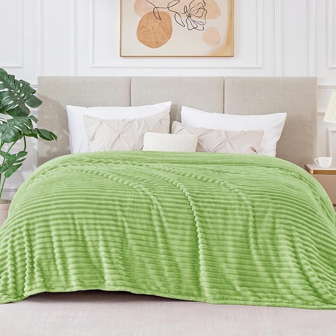 BEDELITE 3D Ribbed Jacquard Green Blankets Queen Size for Bed, 90x90 Inch | Soft Warm Decorative Fluffy Blanket, Cozy Fuzzy Lightweight Plush Fleece Throw Blankets for Bed, Room Decor, Gift for Women