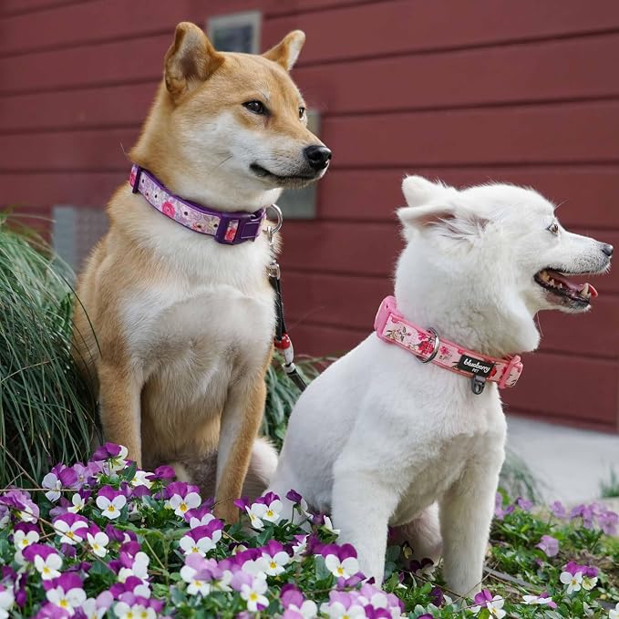 Blueberry Pet Soft & Comfy Peony Flower Print Neoprene Padded Adjustable Dog Collar, Mauve, Large, Neck 18"-26"