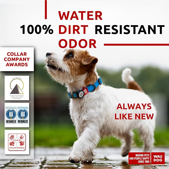 WAUDOG Waterproof Dog Collar Airtag Holder QR Tag Small Medium Large Dogs | Water and Dirt Resistant, Quick Dry QR Pet Tag Adjustable Durable Comfort for Male and Female Dogs Outdoor Walking Training