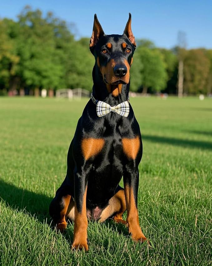 PET SHOW 5 Pack Dog Bowties Plaid for Large Dogs Slide on Collar
