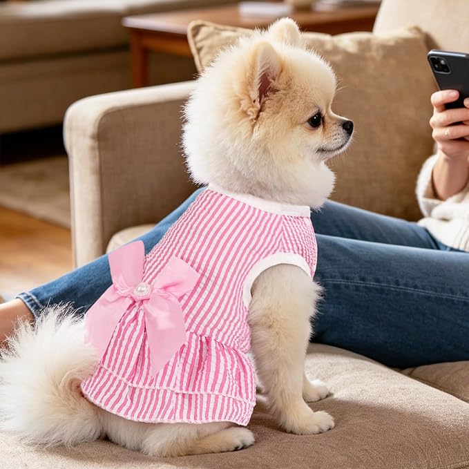 Dog Dress, Cute Pet Princess Dresses with Bright Color Design, Sweet Bowknot, Dog Clothes for Small Dogs Girl, Breathable & Lightweight, for Spring Summer, 2 Pack (Rose PinkBlue, Large)
