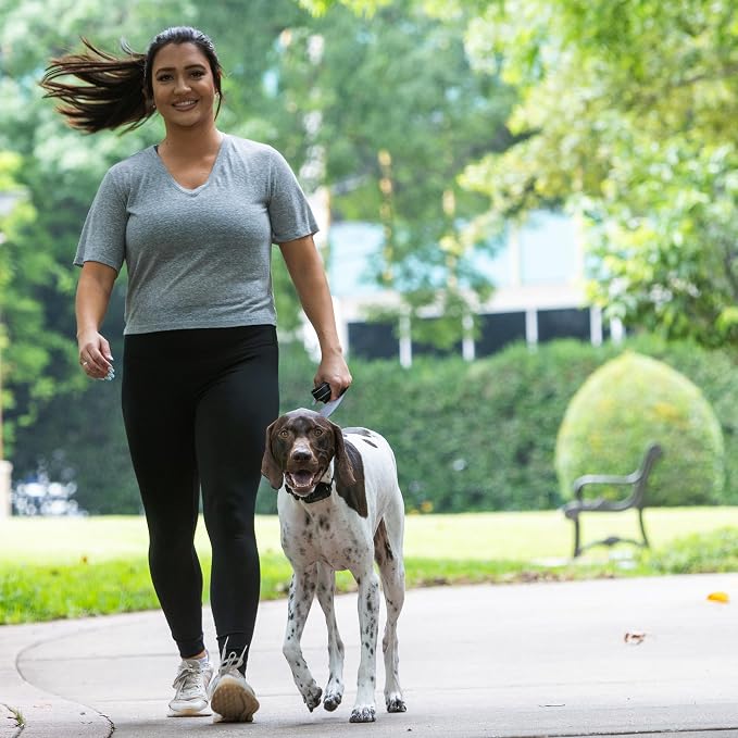 Dog Training Collar to Stop Dog from Pulling on Walks, Remote-Free (MED)