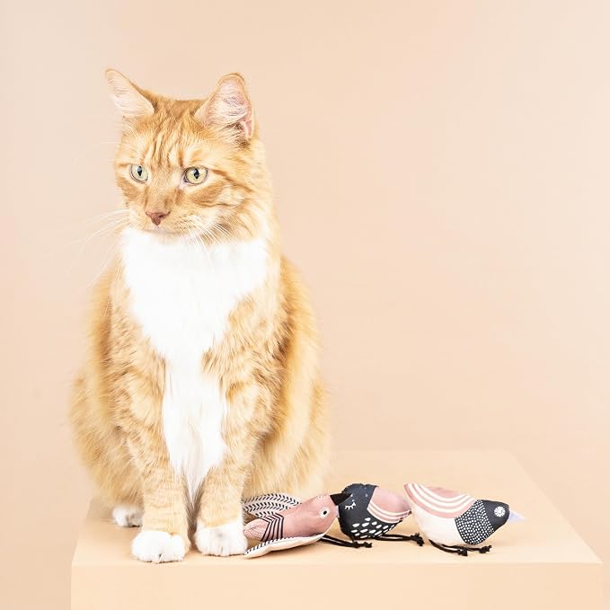 Fringe Studio, Under My Wings, Durable Cotton Canvas Cat Toy, 3PCS Set, PetShop Collection (904029)