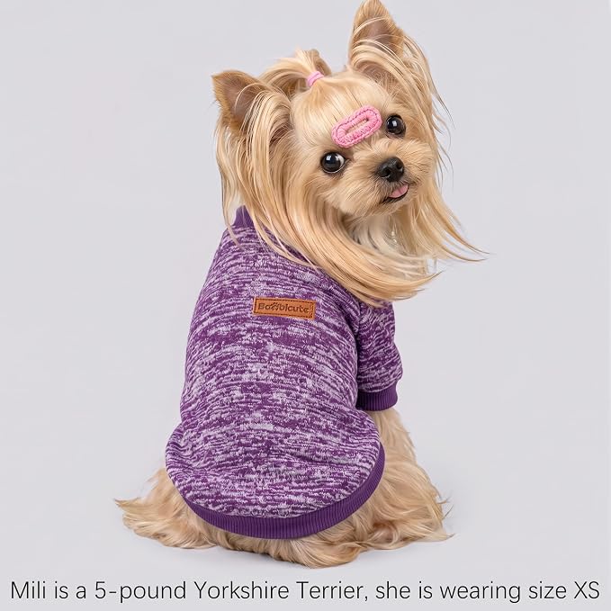 1 Pack Dog Sweaters for Small Dogs Girl Boy Winter Fleece Clothes Warm Soft Dog Sweatshirt Outfit for Dogs Cats Pet Apparel