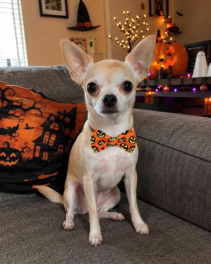 PET SHOW 5 Pack Halloween Dog Bowties for Small Dogs Slide on Collar