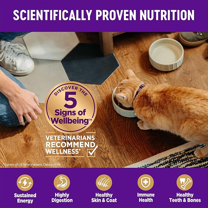 Wellness Complete Health Adult Dry Cat Food for Indoor Cats, Natural, Wholesome Grains Kibble, Chicken Recipe, 5 lb Bag