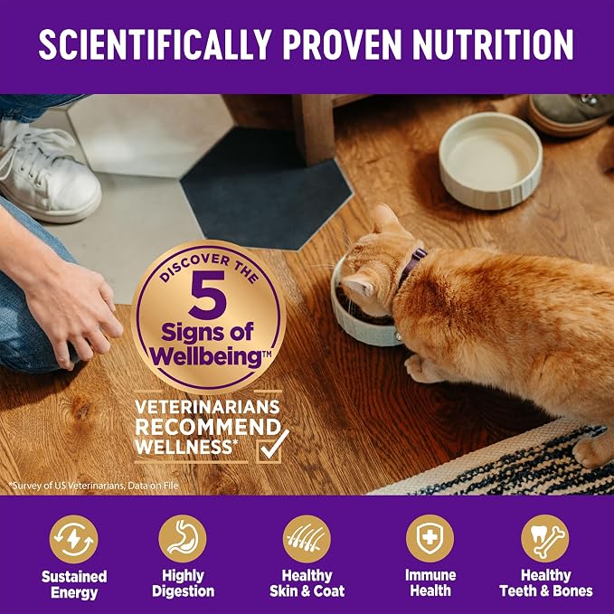 Wellness Complete Health Adult Dry Cat Food for Indoor Cats, Natural, Grain Free Kibble, Salmon and Herring Meal Recipe, 5.5 lb Bag
