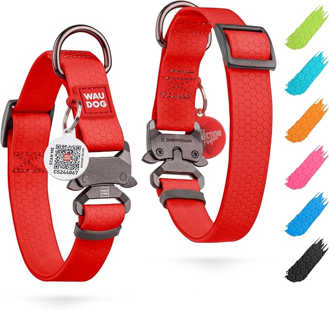 WAUDOG Waterproof Dog Collar Airtag Holder QR Tag Small Medium Large Dogs | Water and Dirt Resistant, Quick Dry QR Pet Tag Adjustable Durable Comfort for Male and Female Dogs Outdoor Walking Training