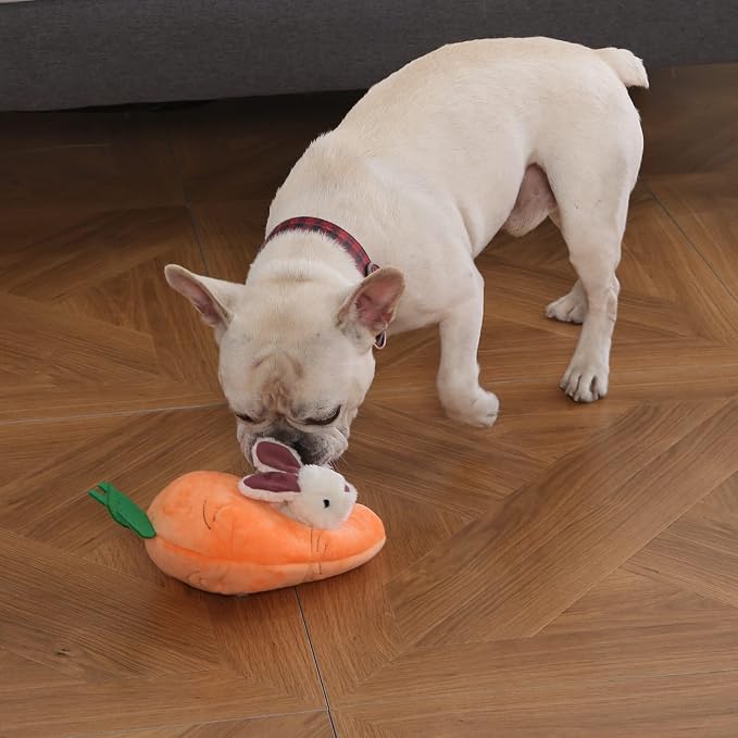 Amazon Basics Interactive Hide and Seek Squeaky Dog Plush Toy with Squeaker for Small Dogs, Rabbit and Carrot, Orange and White, 5-Pack