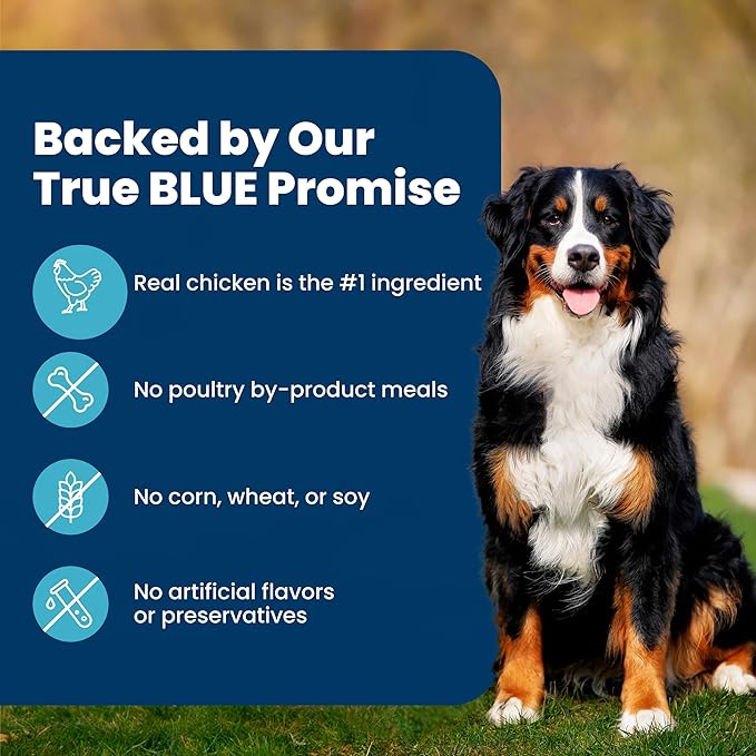 Blue Buffalo Life Protection Formula Chicken Adult Dry Dog Food, 30 lb | Real Chicken #1 Ingredient, Supports Immunity with Antioxidant-Rich LifeSource Bits, Promotes Healthy Muscle Development