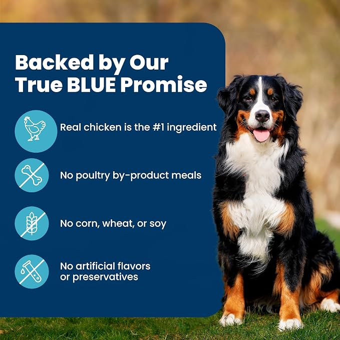 Blue Buffalo Life Protection Formula Chicken Adult Dry Dog Food, 34 lb | Real Chicken #1 Ingredient, Supports Immunity with Antioxidant-Rich LifeSource Bits, Promotes Healthy Muscle Development