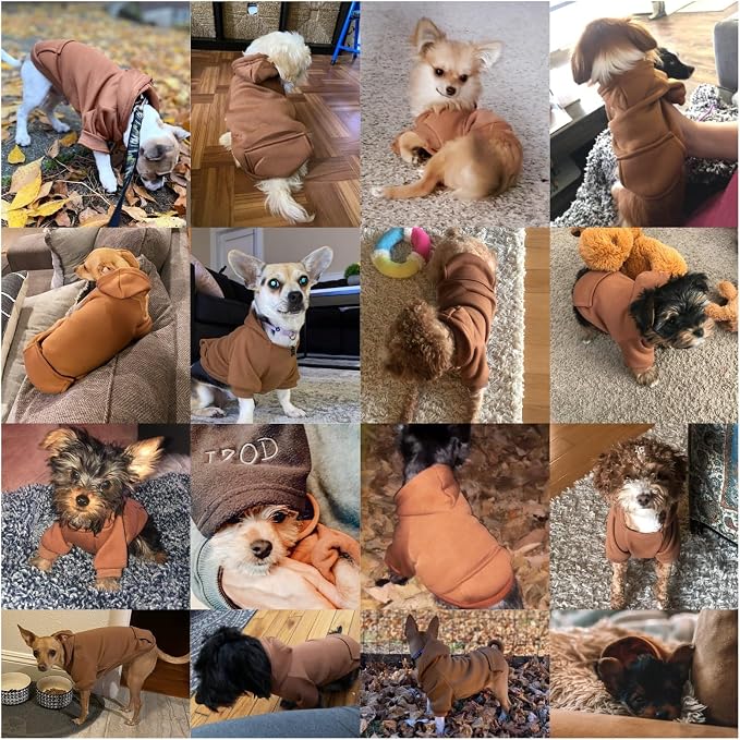 Soft Dog Hoodies for Small Dogs, Warm Fleece Puppy Clothes with Pocket | Jecikelon cold weather coat, cute puppy costume, breathable sweatshirt for dogs girl & boy, machine washable, easy on & off