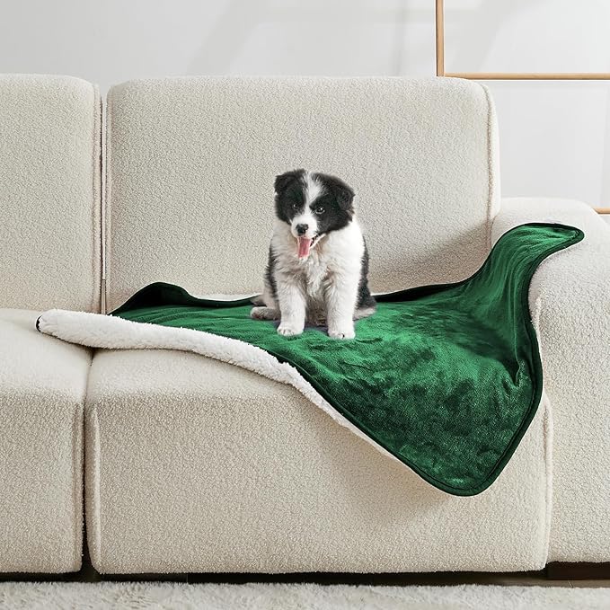 Soft Waterproof Blanket for Bed Couch Sofa, Green, 30x40 inches | Liquid Pee Proof Pet Blanket for Dog Puppy Cat, Reversible Sherpa Fleece Blanket for Couch Cover, Furniture Protector