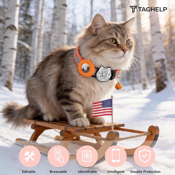 Cat Collar with AirTag Holder, QR Code Tag and Bell (Orange)