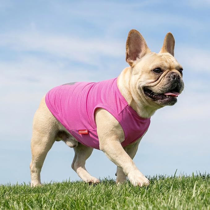 KYEESE 2Pack Dog Shirt, Lightweight Sun Protection Dog T Shirts for Small Dogs Girl, Breathable Mesh Tank Top Sleeveless Pet Reflective Vest, Soft Summer Dogs Clothes, Ice Pop+Pink, M