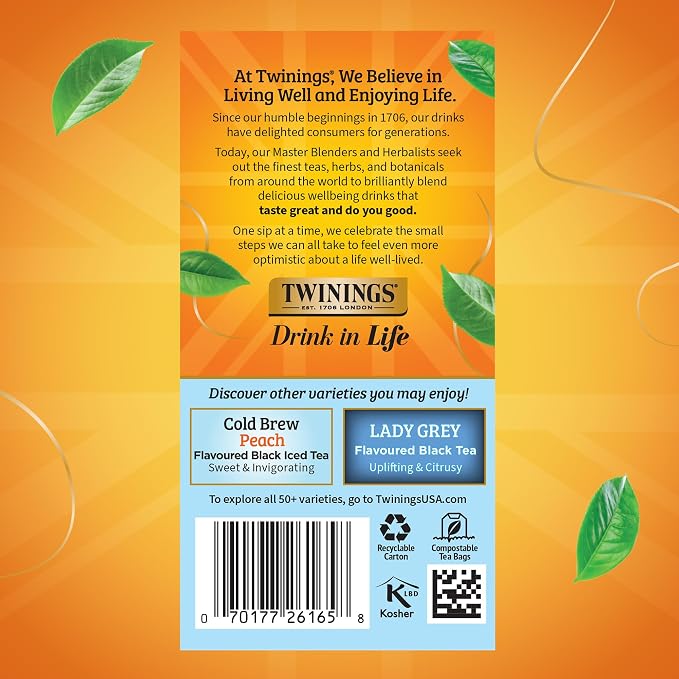 Twinings English Classic Cold Brew Tea Bags, 20 Count (Pack of 2)