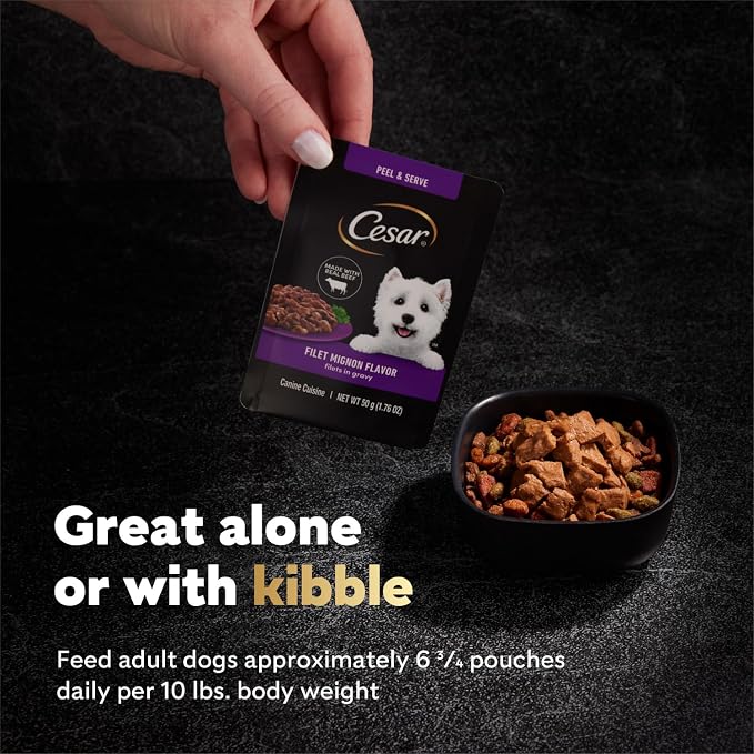 Cesar Mini-Pouch Wet Dog Food, Angus Beef Flavor, 1.76 oz, 20 Count | Real beef, protein-packed, no fillers or artificial flavors, slow-cooked tender texture, serve as meal, snack, or topper