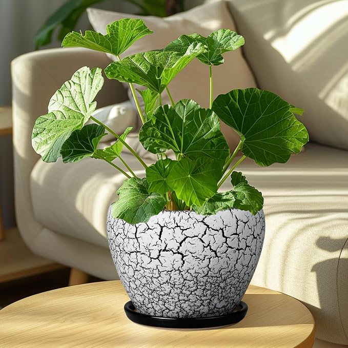 Ceramicfor Ceramic Plant Pot 8 Inch - Ceramic Planter for Indoor Plants, Round Flower Pot with Drainage Hole and Saucer, Glaze White and Black