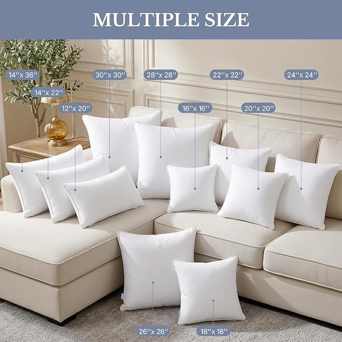 Leeden 22 x 22 Pillow Inserts (Set of 2) - Throw Pillow Inserts with 100% Cotton Cover - 22 Inch Square Decorative Pillows for Sofa, Couch, Bed and Home Decor