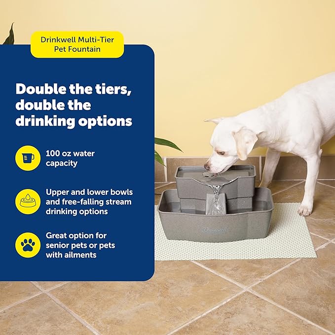 PetSafe Drinkwell Multi-Tier Pet Fountain, Cats & Dogs, Large | 100 oz Capacity, 2 Drinking Heights, Great for Senior/Arthritic Pets, Top-Rack Dishwasher Safe