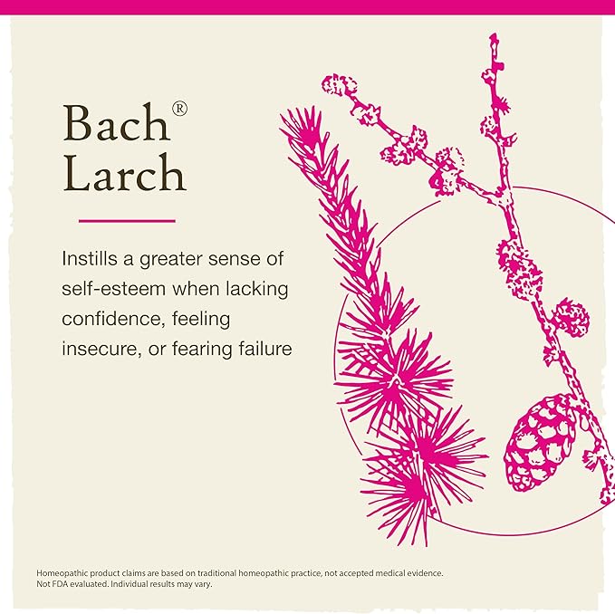 Bach Original Flower Remedies, Larch - Have Confidence - Natural Homeopathic Flower Essence for Emotional Balance - Vegan, Gluten Free, Sugar Free - 20mL Dropper