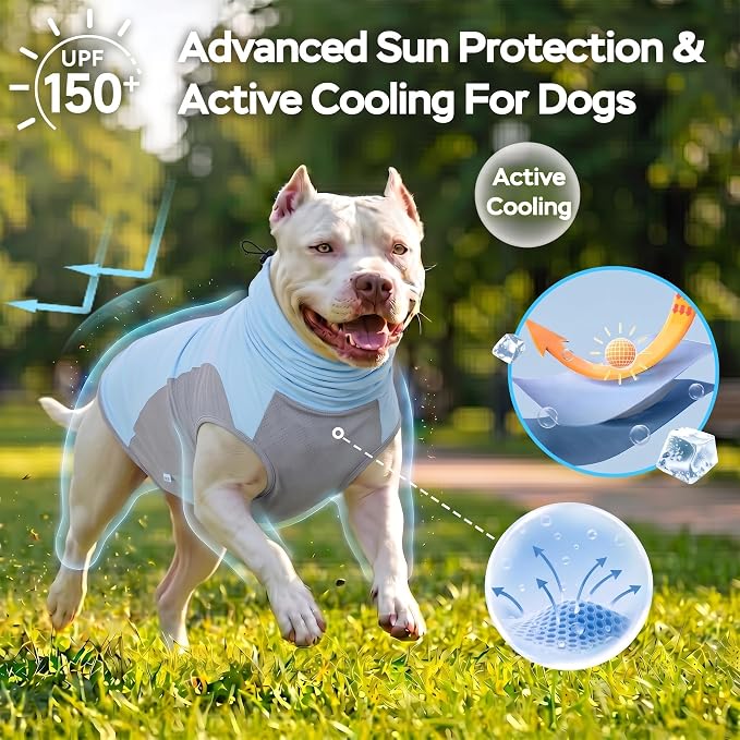 LovinPet UPF 150+ Dog Sun Shirt, Sleeveless High Neck Cooling UV Protection Clothes for Large Breeds, Quick Dry Lightweight Outdoor Vest with Breathable Belly Panel, Light Blue, XXL