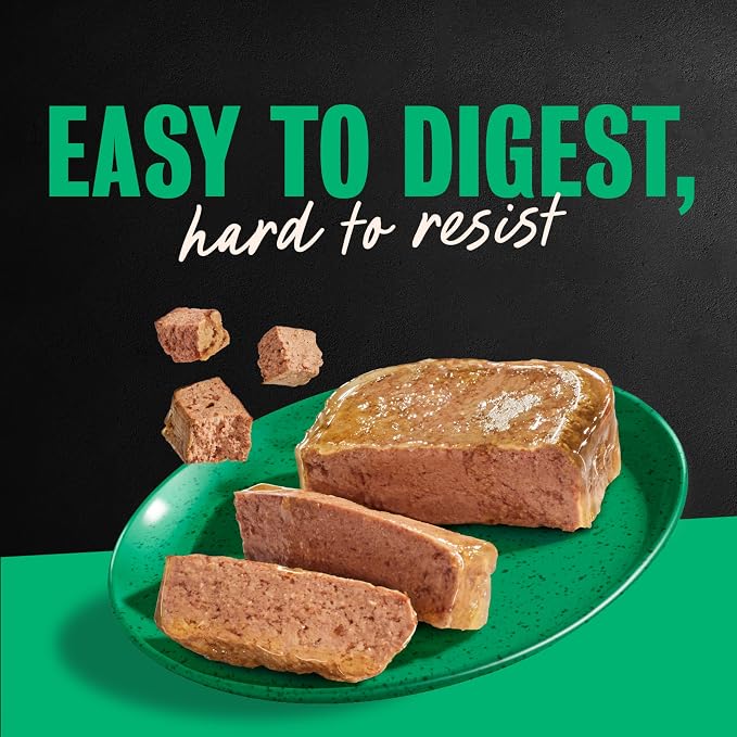 Cesar Classic Loaf in Sauce Wet Dog Food, Poultry Lovers, 3.5 oz, 36 Count | Real poultry #1 ingredient, no fillers or artificial flavors, easy-to-digest, slow-cooked tender texture, easy peel trays