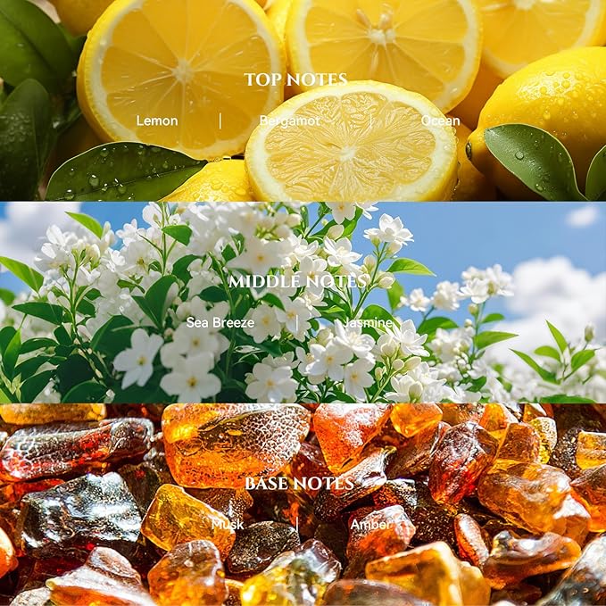AROMADD AROMADD Bergamot Coastal Hotel Diffuser Oil Inspired by Luxury Hotel Collection Scent, Premium Fragrance Oil for Waterless Diffusers, Cold Air & HVAC Diffusers, Long-Lasting,16.9 fl oz(500 mL)