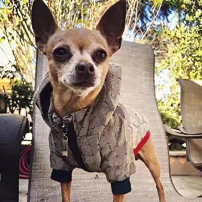 Dog Hoodie Luxury Winter Small Dog Jacket Clothes Classic Designer French Bulldog Teddy Pug Puppy Clothes(XXL)