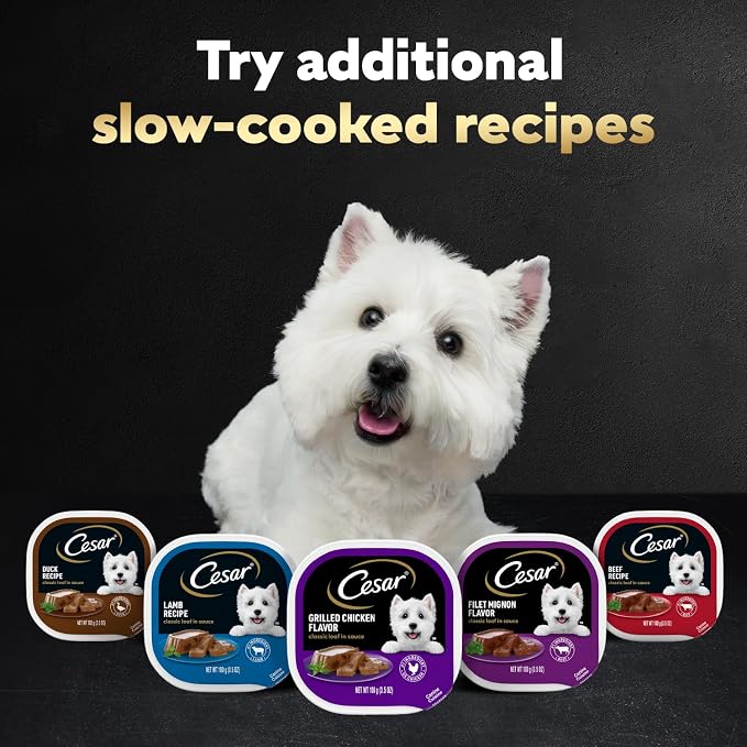 Cesar Classic Loaf in Sauce Adult Wet Dog Food Filet Mignon Flavor, Wet Food for Dogs, 3.5 oz Easy Peel Trays, 24 Count (Pack of 2)