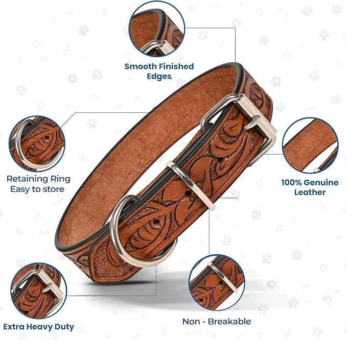 TARICO Adjustable Leather Dog Collar for All Breeds, Heavy Duty Non Padded Pet Collar with Engraved Design Durable Metal Buckle - Tan (XL: Fits 19–23" Necks)