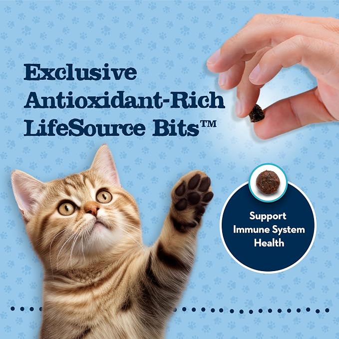 Blue Buffalo Baby Blue Chicken Kitten Natural Dry Cat Food, 5 lb | Real Chicken #1 Ingredient Plus Brown Rice, with DHA for Cognitive Development, Antioxidant-Rich LifeSource Bits