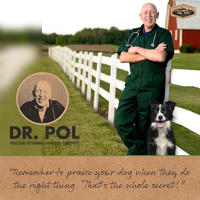 Dr. Pol Dog Training Pads, XL 28" x 30", Fresh Scented, 100 Count
