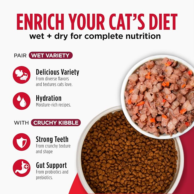 Nulo Freestyle Cat & Kitten Dry Food - Chicken & Cod Recipe, High Protein Grain Free Cat Food, Natural Kibble with Probiotics & Omega Fatty Acids, 2lb Bag