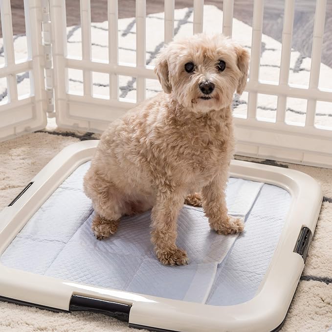 IRIS USA Pee Pad Holder, Fits 22x22 Pads, Dark Gray, Made in USA | Dog Training Pad Holder, Holds Pads in Place, Leakproof Design, Secure Latches, Non-Skid Feet, Easy Clean Surface